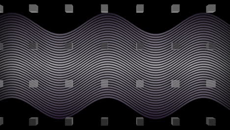 animation of thin wavy kinetic white lines and rows of blocks moving on black