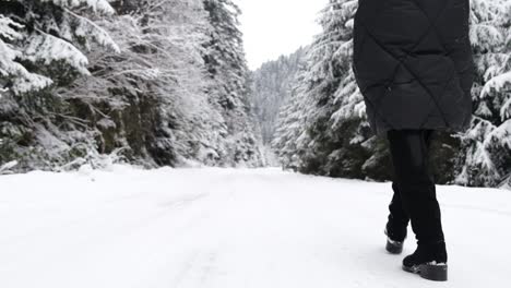 recreation and tourism in the mountains in winter recreation and tourism in the mountains in winter beautiful snowcovered christmas trees a woman walks in the middle of the forest super slow motion 240 fps