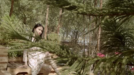 looking through the pine tree boughs at a beautiful asian woman sitting on a park bench