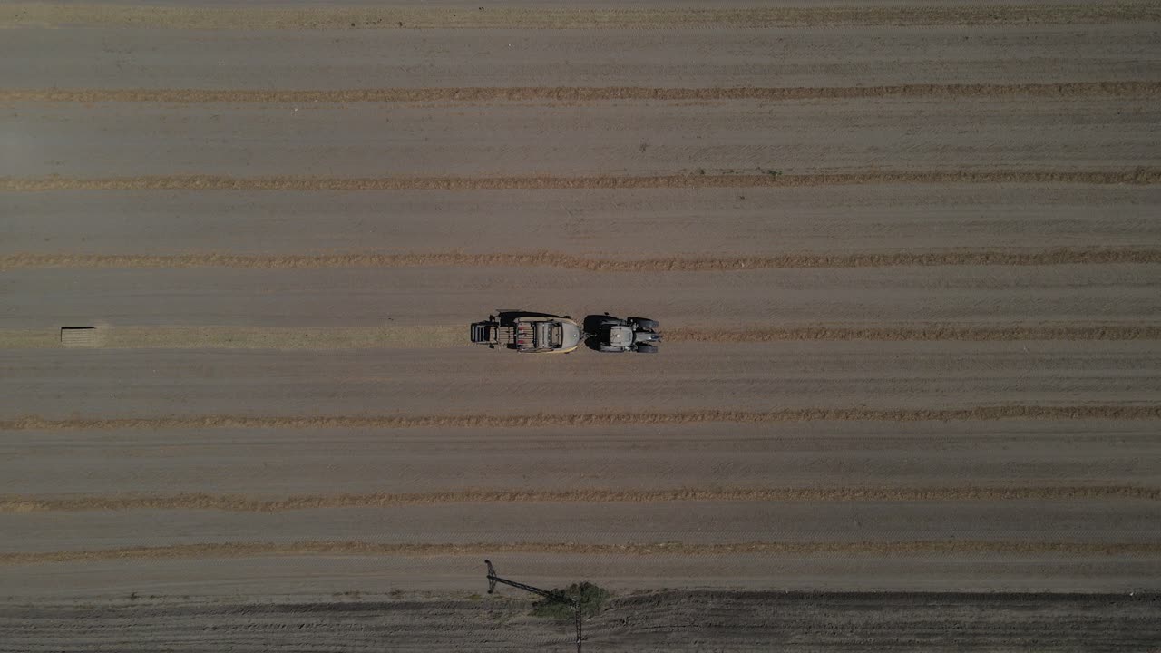 트랙터 서 있는 필드