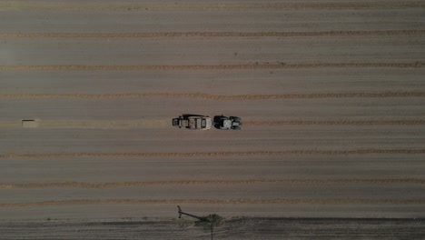 Traktor-Stehendes-Feld