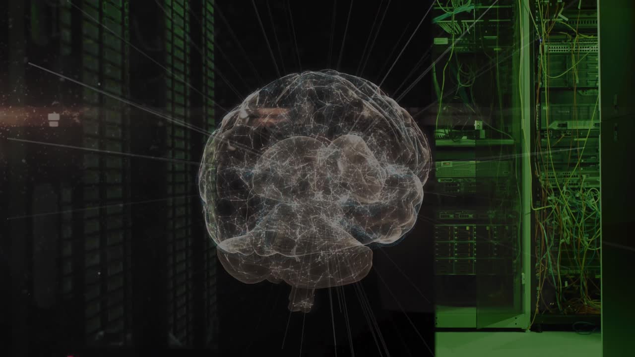 연결의 애니메이션과 디지털 두뇌 서버  ⁇ 을 통해