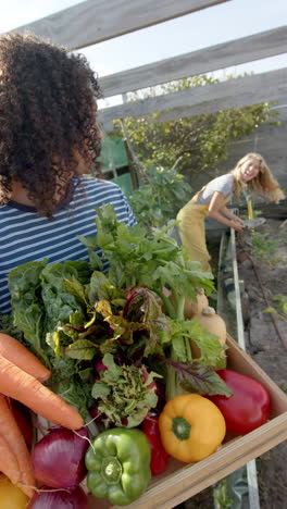 vertical video of portrait of happy cauasian couple working in garden, slow motion