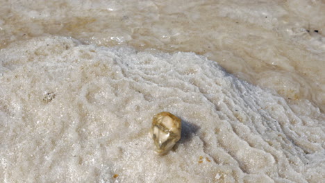 Dead-Sea-shore-with-salty-beach