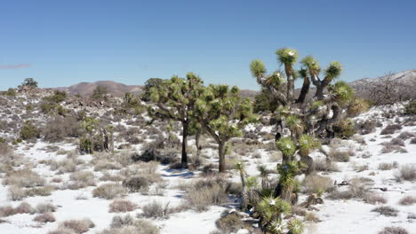 Camping-En-El-Valle-Escondido-En-Joshua-Tree,-Colinas-De-Granito-En-Un-Día-Soleado-Sin-Nubes,-California,-EE.UU.