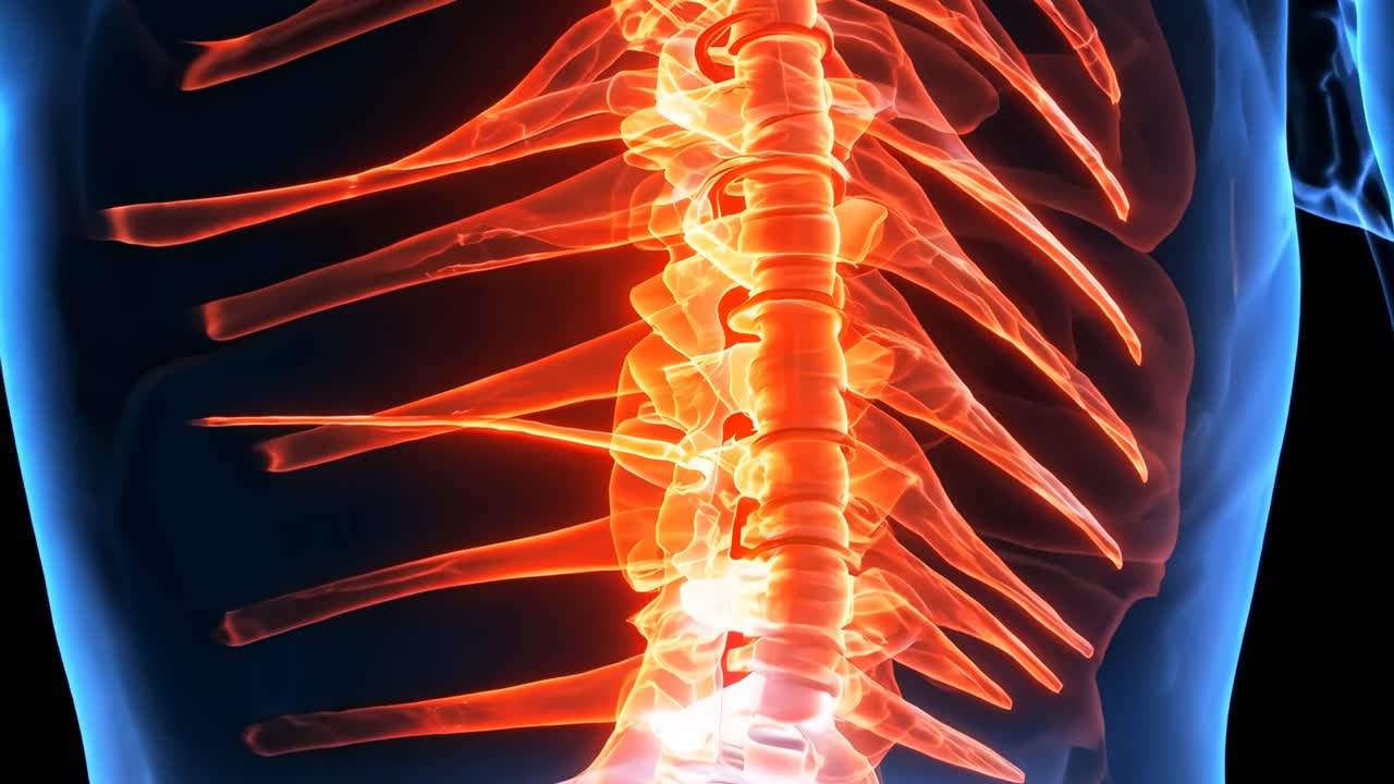 Et videostillbillede, der viser en 3D-rendering af en menneskelig rygsøjle, der lyser rødt og blåt, set fra en bagfra engel