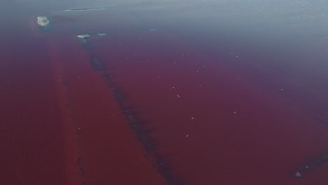 over the aigues mortes salt marsh in southern france