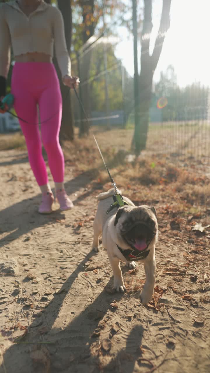mujer paseando a su pug en el parque