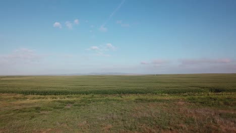 Vista-Panorámica-De-Los-Campos-De-Maíz-Y-Una-Operación-Lechera-En-La-Cuenca-De-Columbia-Del-Estado-De-Washington-Oriental-A-Fines-Del-Verano