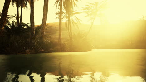 colorful scene with a palm tree over a small pond in a desert oasis