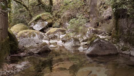 Teich-Mit-Stillem-Wasser-Und-Moosigen-Felsen