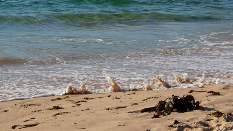 waves lapping the sand at bondi beach, sydney australia