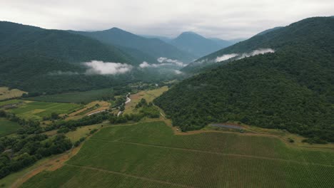 4k: drone capturando las exuberantes montañas verdes del este de georgia en un día nublado