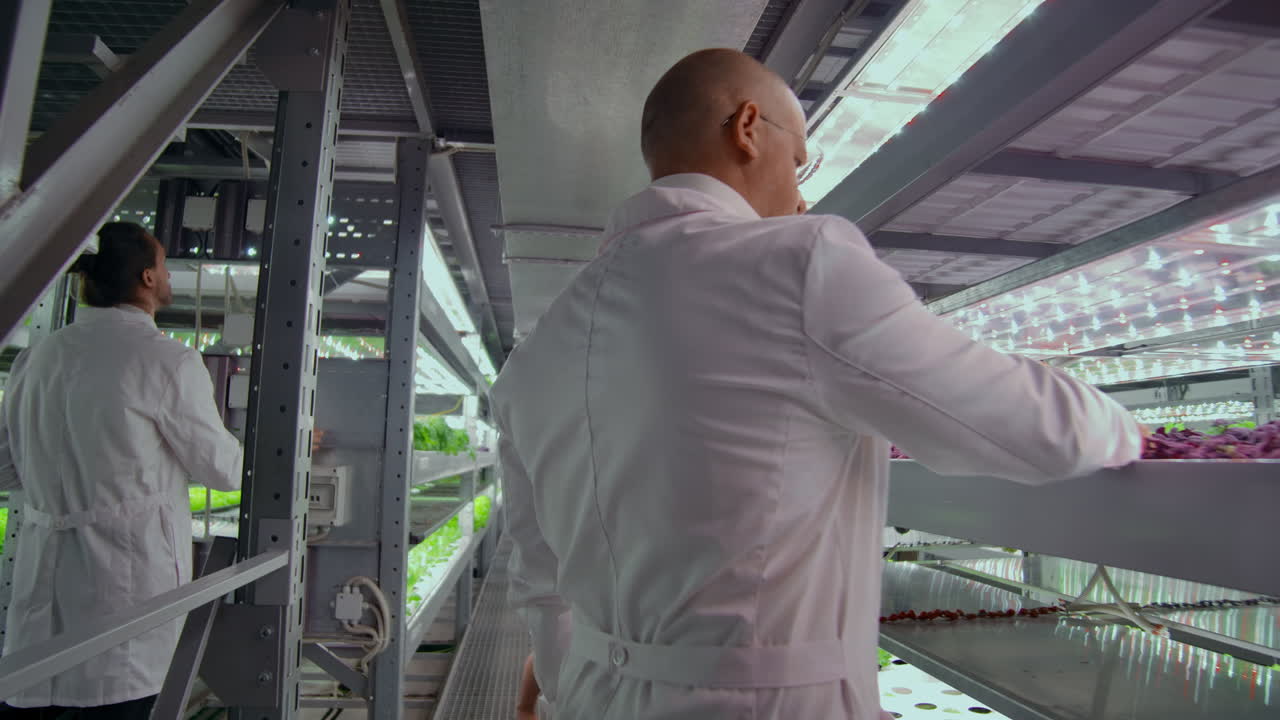 Scientists men and women work moving through the corridors of a modern metal farm for growing vegetables and herbs examining the shelves with green plants and entering data into the computer