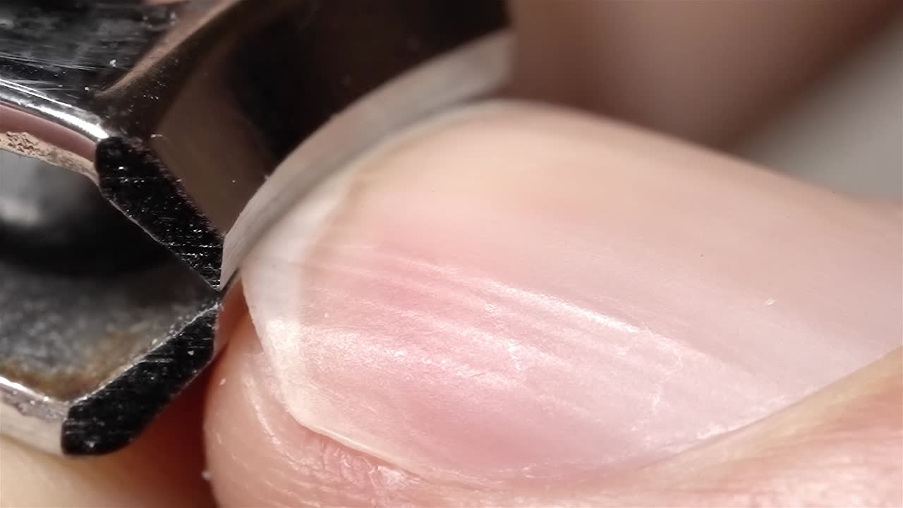 Close Up of Clipped Fingernail Piece