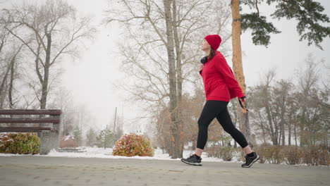 lower angle view of freelancer with bag over shoulder walking along interlocked pathway surrounded by snowy park scenery, colorful bushes, and tall trees, in a foggy atmosphere during winter