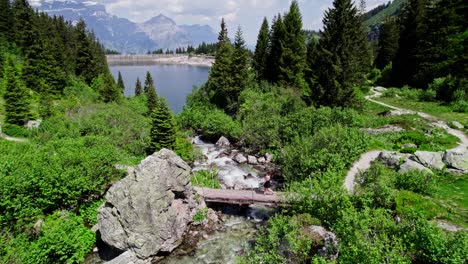 woman hiker on river bridge on beautiful summer day in swiss alps mountains, switzerland