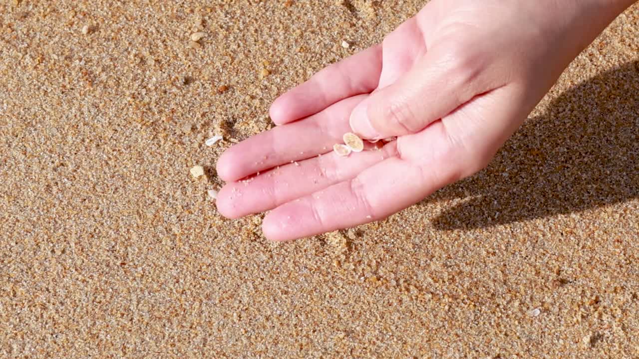 En person håller små snäckskal i sin handflata mot en solbelyst tropisk strandbakgrund