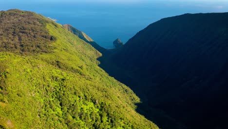 Antenne-über-Waikolu-Valley-Ein-Abgelegenes-Und-Eingeschränktes-Wildnisgebiet-Auf-Der-Insel-Molokai-Hawaii