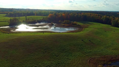 A-pond-surrounded-by-rolling-green-hills-with-fresh-bales-of-hey-dotting-the-grass-in-autumn---pull-back-aerial-reveal