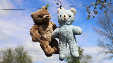 two teddy bears hang on a rope after two teddy bears hang on a rope after washing
