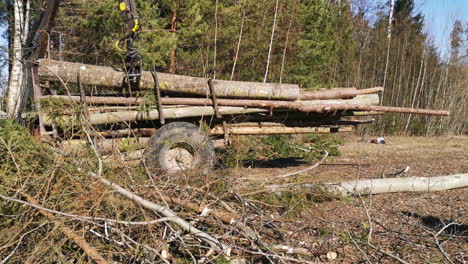 Schweres-Fahrzeug-Lädt-Baumstämme-Im-Wald