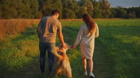 couple walking their dog in a meadow at sunset