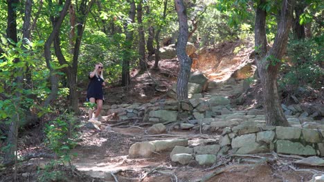 Eine-Wanderin,-Die-An-Einem-Sonnigen-Tag-Den-Pfad-Im-Gwanaksan-Berg-In-Südkorea-Hinuntergeht,-Wobei-Das-Sonnenlicht-Durch-Die-Bäume-Scheint---Weitschuss