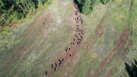 un grupo de excursionistas camina a través de un despeje de hierba rodeado de bosque en una fila única organizada