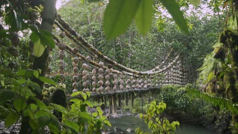 an abandoned jungle bridge made of plastic buoys with epiphytes growing on it