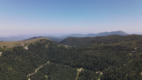 Drone-Aéreo-Del-Bosque-De-Montaña-Verde