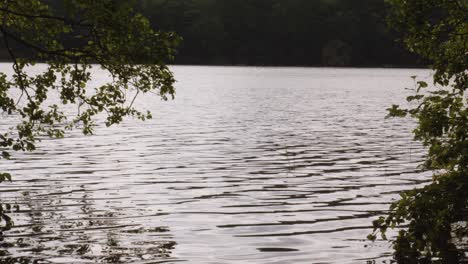 Shore-of-lake-Łapino-in-kashubia-,-poland