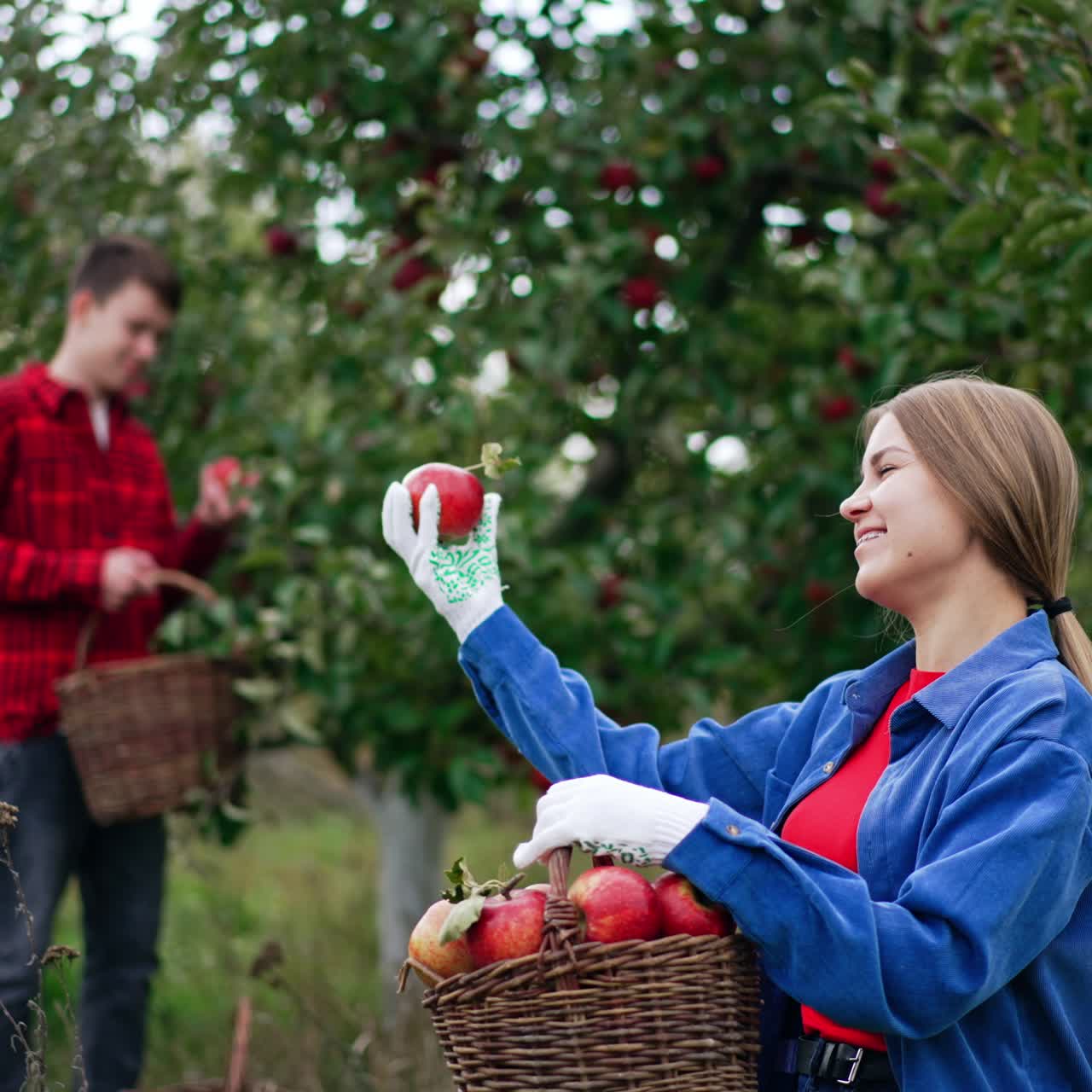 Long-haired lady sitting in the garden enjoying the harvest she's picked. Woman takes apple from a basket on her laps and shows it to the boy at backdrop