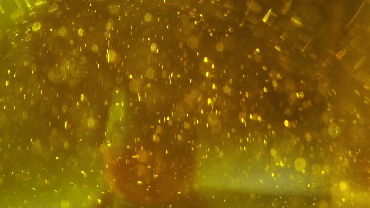 금색 액체와 거품