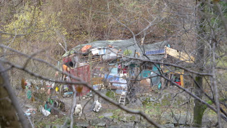 Refugio-Hecho-A-Sí-Mismo-En-El-Bosque,-Gente-Que-Vive-Fuera-De-La-Sociedad