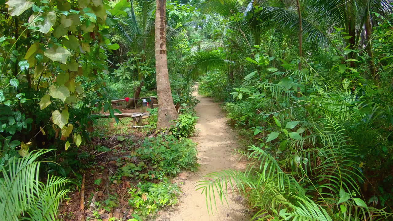 슬로우 모션 | pov는 태국의 트레일에서 정글을 걷고 있습니다.