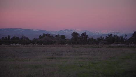 Un-Cielo-Pastel-Sobre-Las-Montañas-De-Sierra-Nevada-Con-Líneas-Eléctricas-Y-árboles-En-Primer-Plano-En-Clovis,-Ca,-Ee.uu.