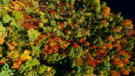 autumn forest colors. aerial drone shot over the picturesque landscape of nova scotia, canada.
bird's eye view of the colorful foliage. vibrant tree leaves. fall landscape.