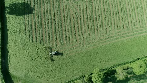 de arriba hacia abajo de un tractor henificando la hierba cortada en el campo.