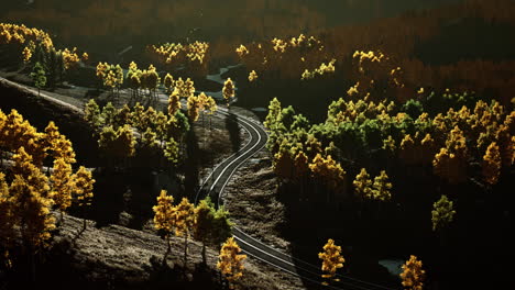 a winding road through a forest in the fall