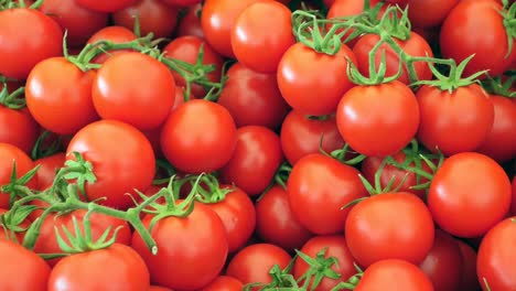 un montón de tomates cereza frescos