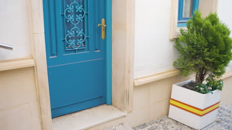 blue door and planted pot on white building exterior