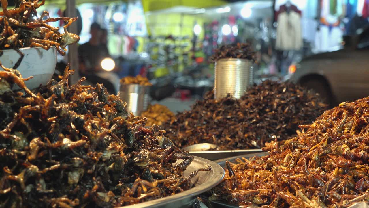 Fried Insects for Sale at the Side of the Street at Night