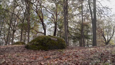 Lápida-Mortuoria-De-Roca-Cubierta-De-Musgo-En-El-Cementerio-Boscoso-De-Jacksonville-En-Oregon---4k