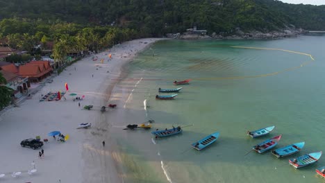 vista aérea de una playa tropical con barcos y palmeras