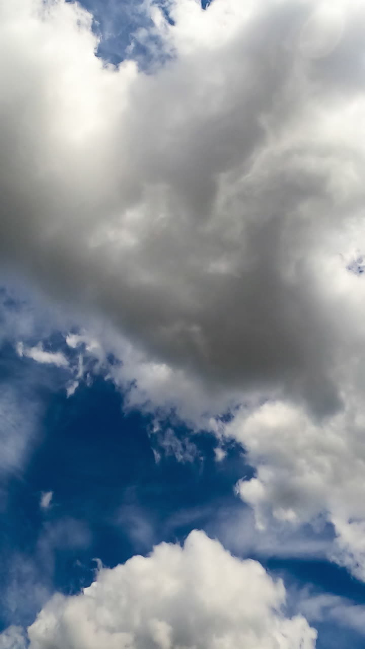 Light white clouds moving along the sky. Low angle view timelapse on sunny day. Vertical video