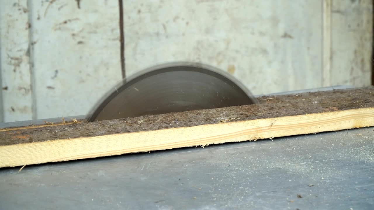 Sega circolare. L'artigiano taglia una tavola di legno su una sega circolare. Primo piano.