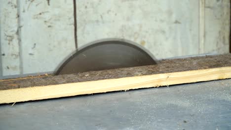 circular saw. the wizard cuts a wooden board on a circular saw. close-up.