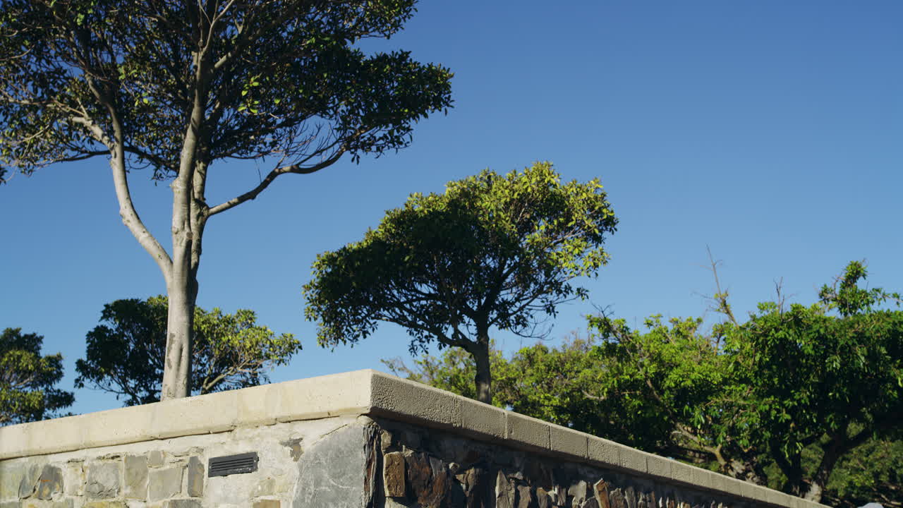 la vida en el lado extremo