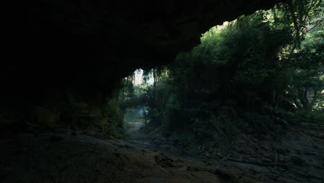 camino oscuro y exuberante de la selva que conduce a través de una cueva